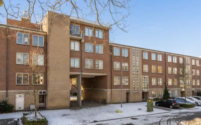 Schollevaar. 99