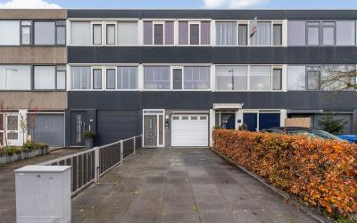 Akkerdistel 23