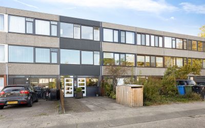 Haakdistel 19