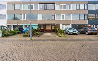 Haakdistel 25