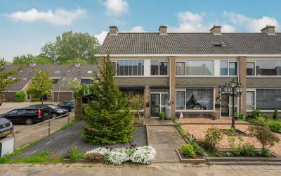 Gelebrem 49