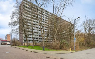 Hemingwaypl. 274