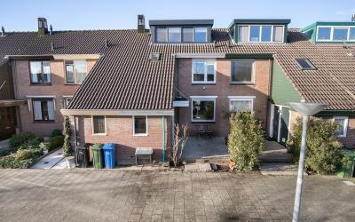 Rode Klaver 50