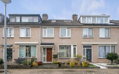 Vleugelvaren 9