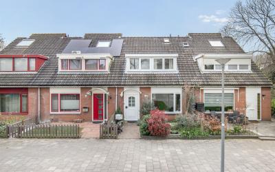 Rijsbes 3