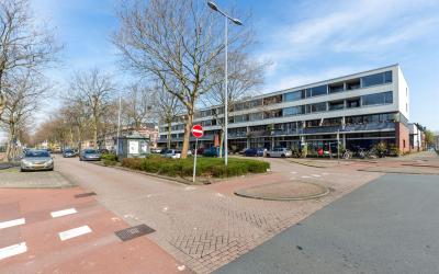 Oranjebooms. 58-C