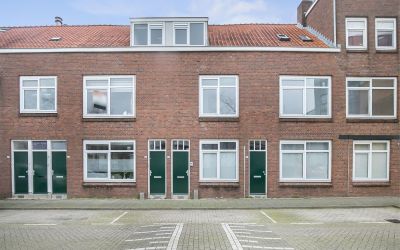 Ridderspoor. 40-A