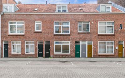 Ridderspoor. 46-B