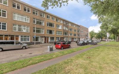 West-Varken. 217-B