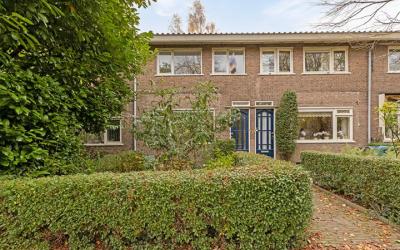Groenezoom 47