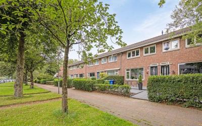 Groenezoom 65
