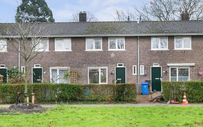 Hovendaal 36