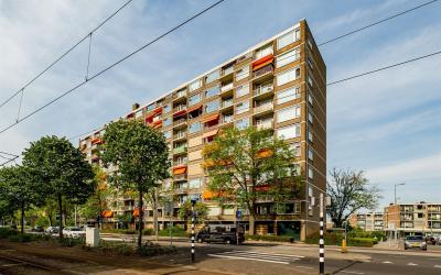 Molenvliet 66