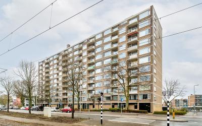 Molenvliet 156