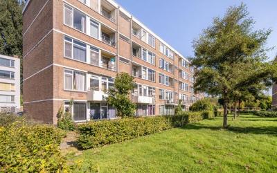 Menno ter B. 35
