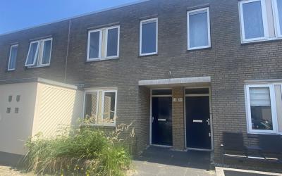 Weerdesteyn. 14