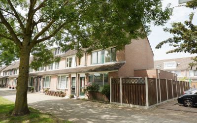 Molecatensingel 313