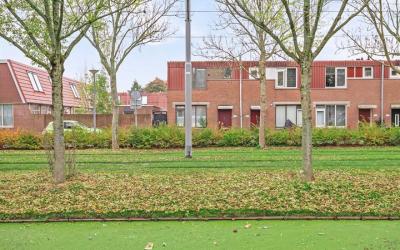 Rhijnauwens. 342