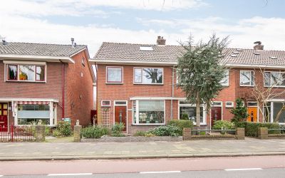Koninginnew. 251