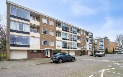 Bichon van. 26