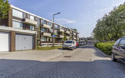 Pieter Wout. 24