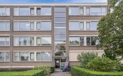 Bredenoord 113