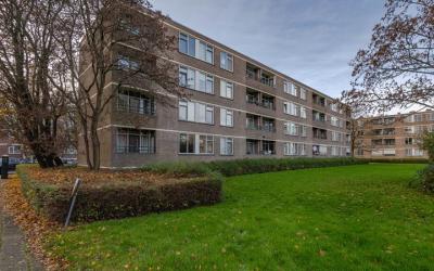 Ruigoord 111