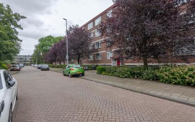 Ruigoord 58
