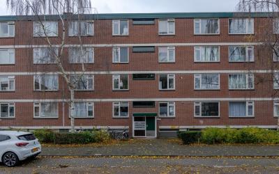 Ruigoord 184