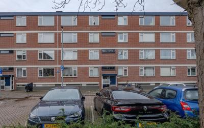 Ruigoord 252