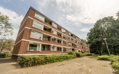 Ruigoord 268