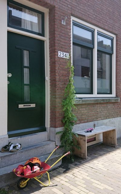 Zuidhoek 234-B
