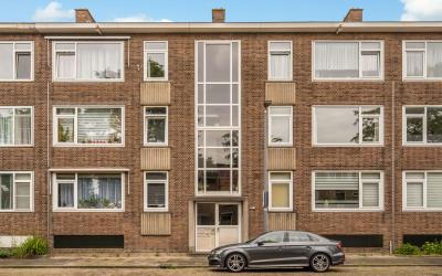 Aalscholver. 12-B