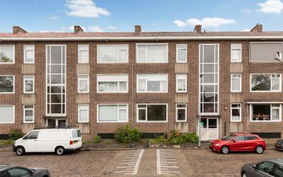 Aalscholver. 18-A