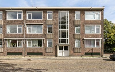 Aalscholver. 22-C