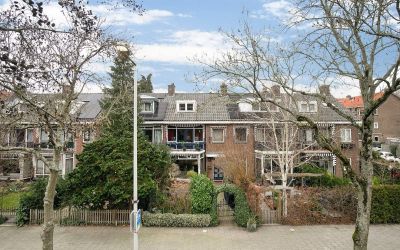 Roerdomplaan 19