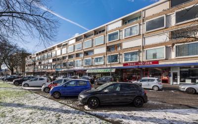 Langenhorst 271