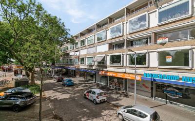 Langenhorst 313