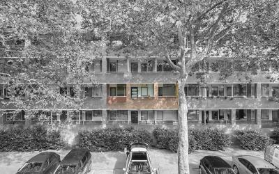 Hontenisses. 112