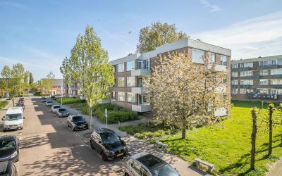 Kruiningens. 204