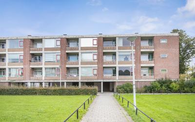 Stellendams. 83-C