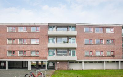 Stellendams. 82-C