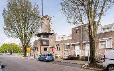 Vlaardinger. 18