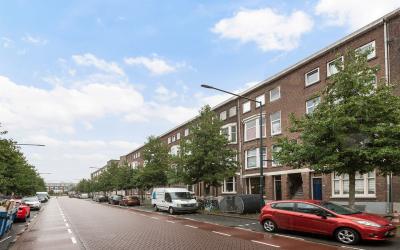 Boerhaavela. 47-A