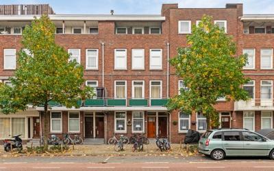 Boerhaavela. 87-B2