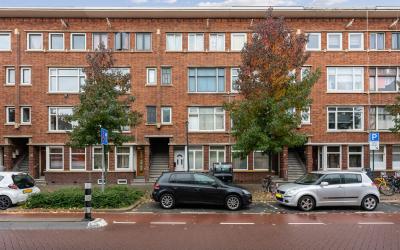 Boerhaavela. 10-B