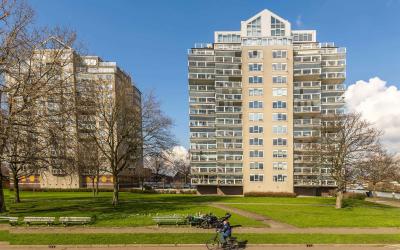 Maasbouleva. 24