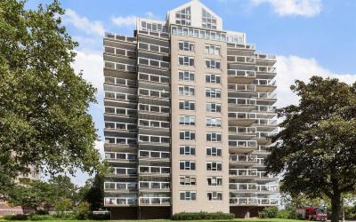 Maasbouleva. 28