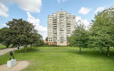 Maasbouleva. 153