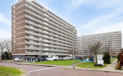 Vlaardinger. 130